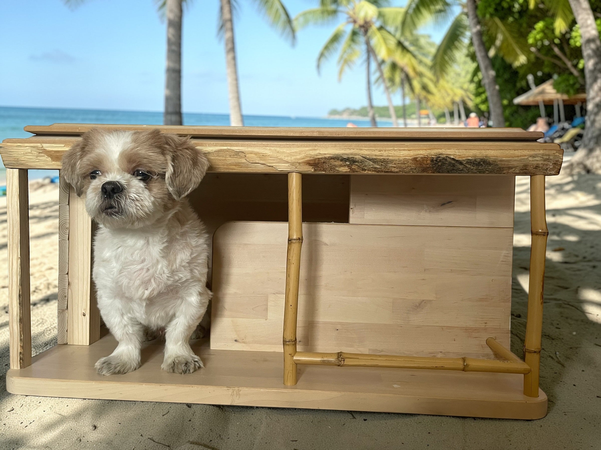 Tiki Pet Home